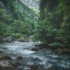 「日本で一番短い川って知っていますか？」