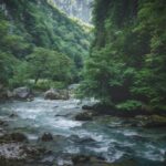 「日本で一番短い川って知っていますか？」