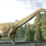 恐竜の骨の化石 に関する知って得する情報