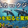 イルカとクジラの違い